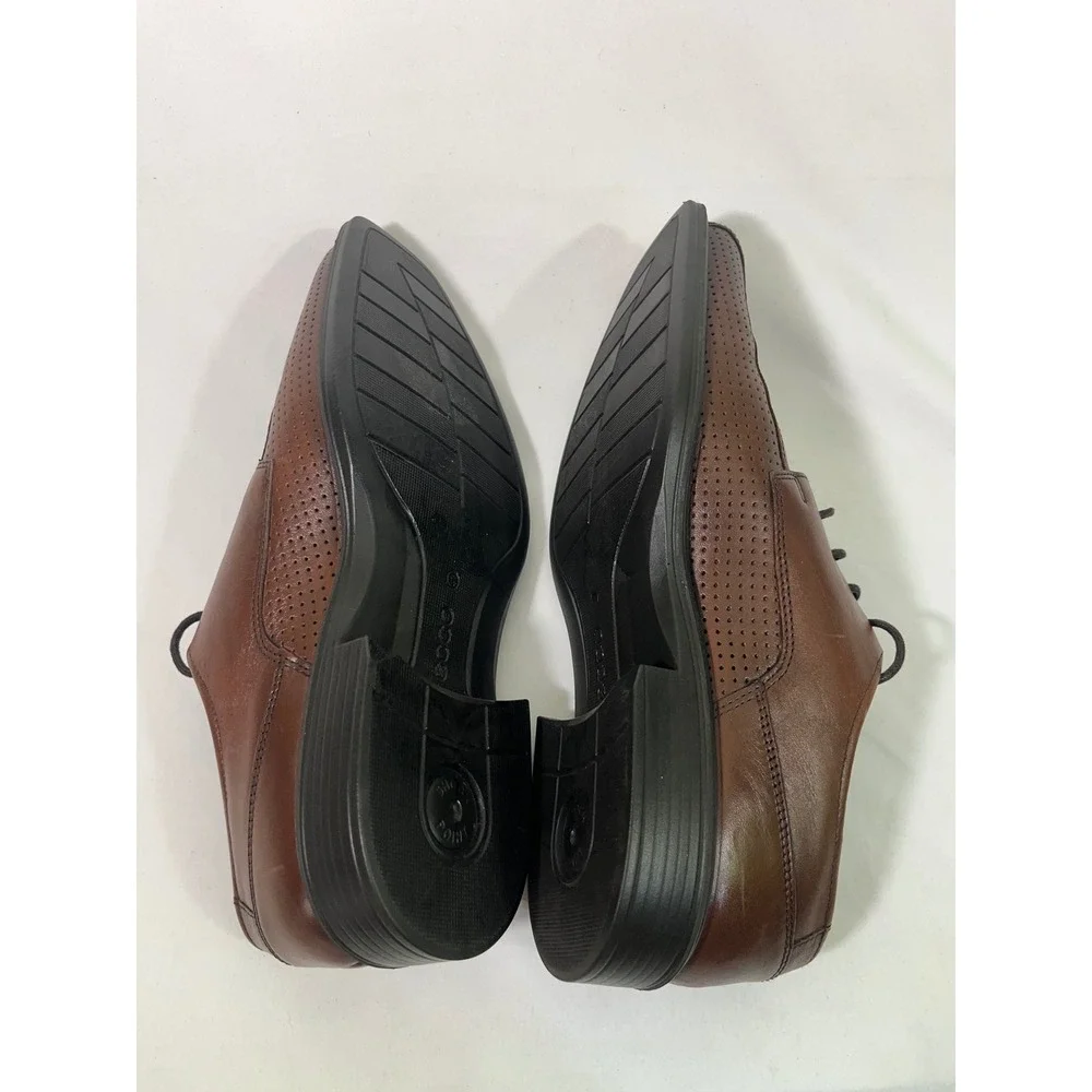 Ecco elevate your